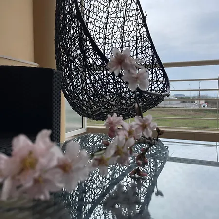 Modern Elegance In Chalkidiki *